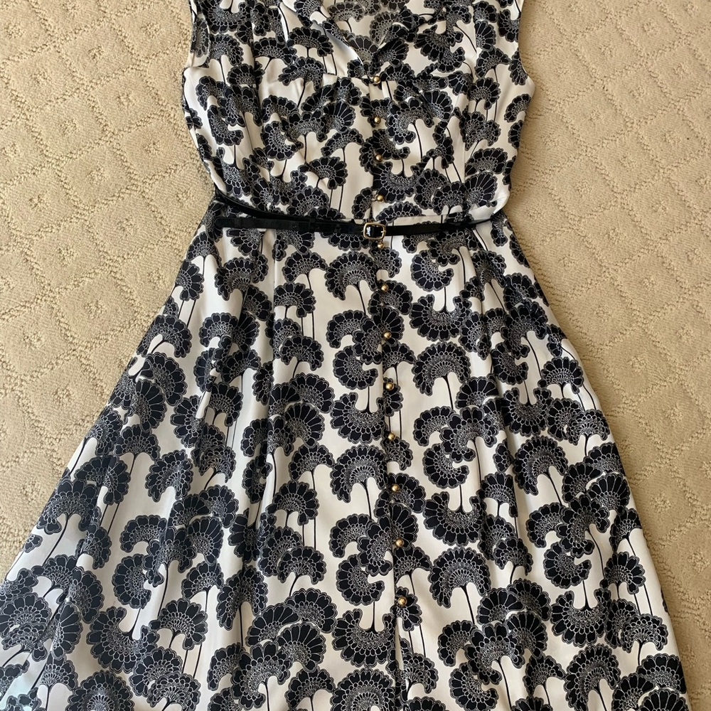 Kate Spade silk dress, belted with pleated shirt.